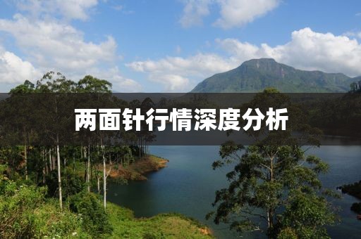 沁水百合 第41頁