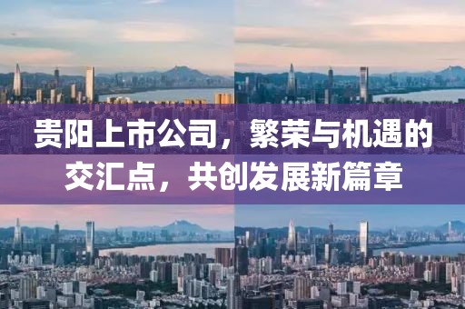 貴陽(yáng)上市公司，繁榮與機(jī)遇的交匯點(diǎn)，共創(chuàng)發(fā)展新篇章