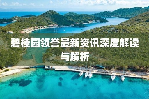 碧桂園領(lǐng)譽最新資訊深度解讀與解析