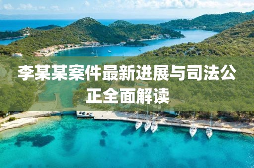 李某某案件最新進(jìn)展與司法公正全面解讀