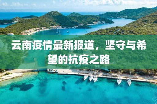 云南疫情最新報道，堅守與希望的抗疫之路