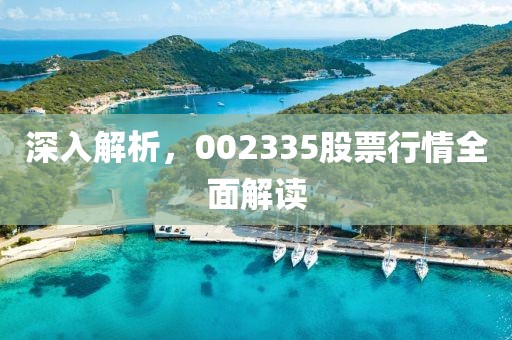 深入解析，002335股票行情全面解讀