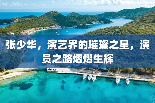 張少華，演藝界的璀璨之星，演員之路熠熠生輝