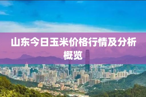 山東今日玉米價(jià)格行情及分析概覽