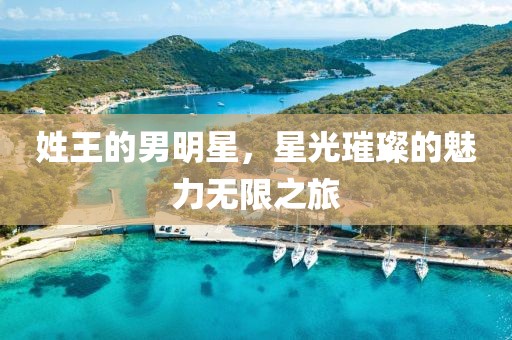 姓王的男明星，星光璀璨的魅力無限之旅