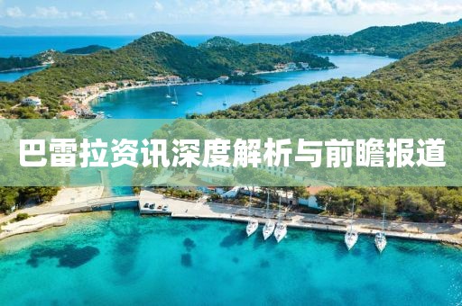 巴雷拉資訊深度解析與前瞻報道