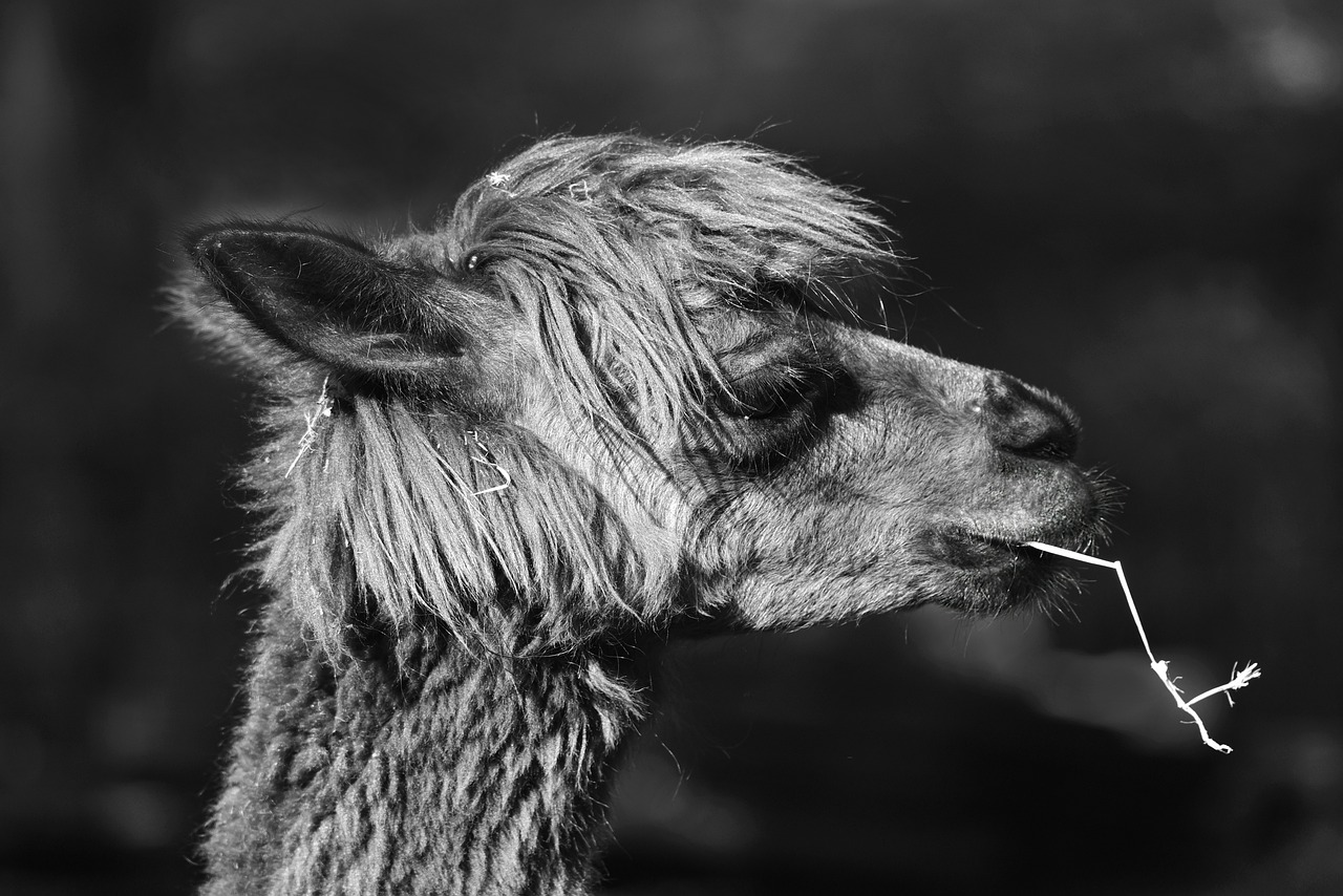 新聞動態(tài) 第1085頁