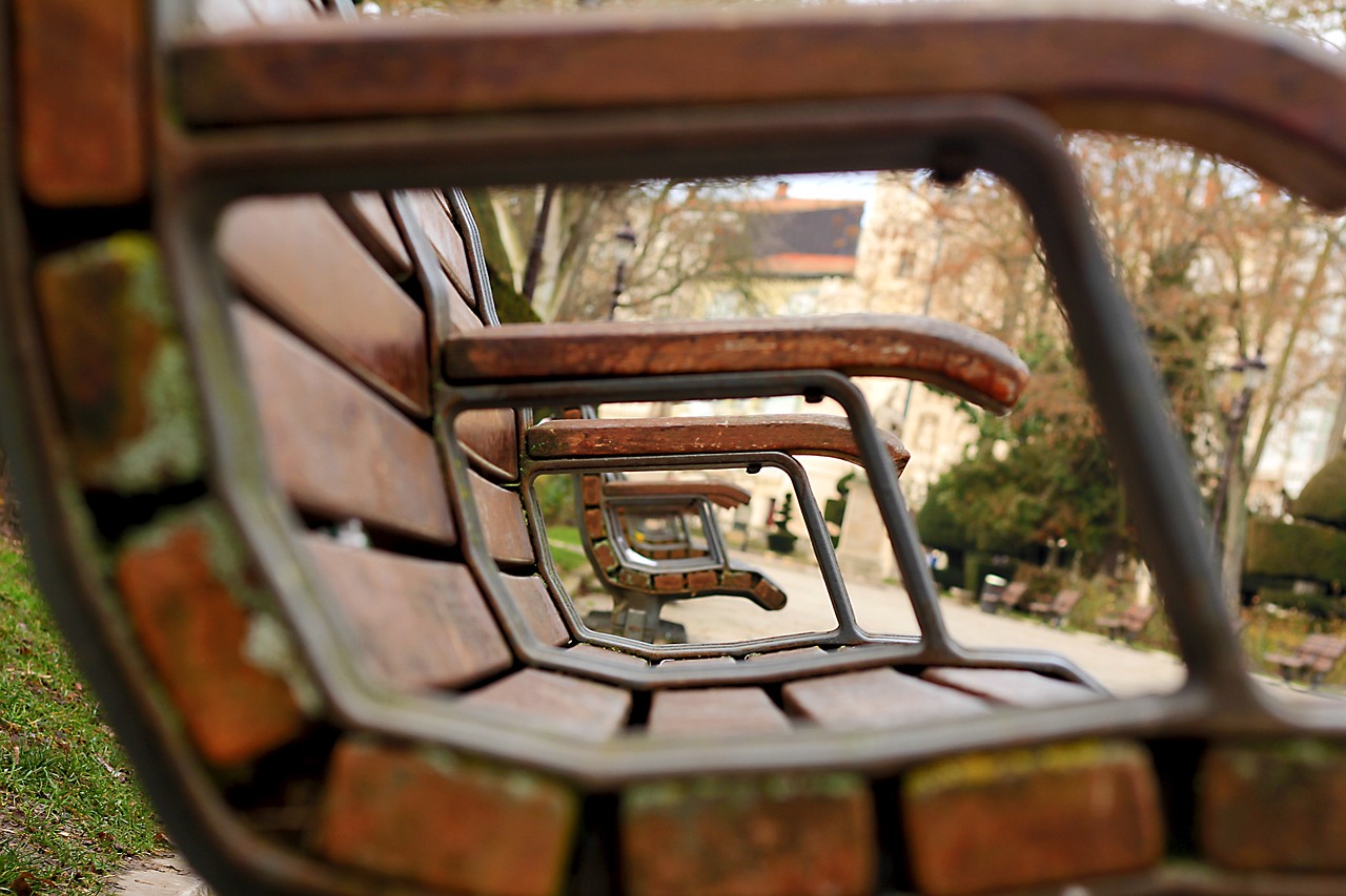 佟麗婭最新動態(tài)，熒幕之外的光芒四射