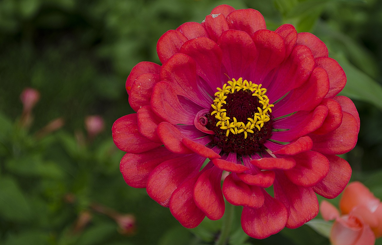 2025年1月 第314頁