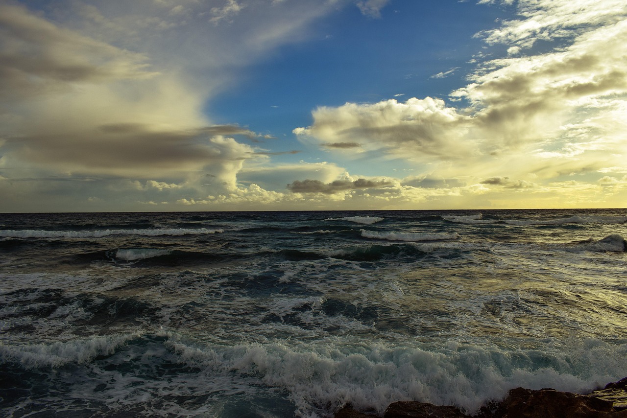 金川鎳板最新價格動態(tài)及分析