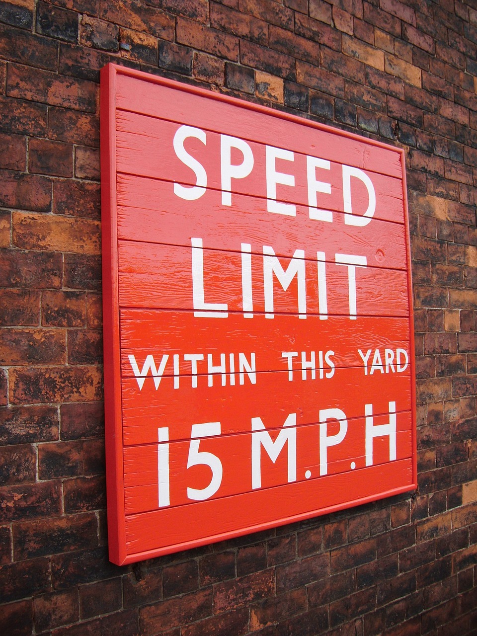 體彩最新開獎，探索彩票世界的驚喜，期待幸運降臨！