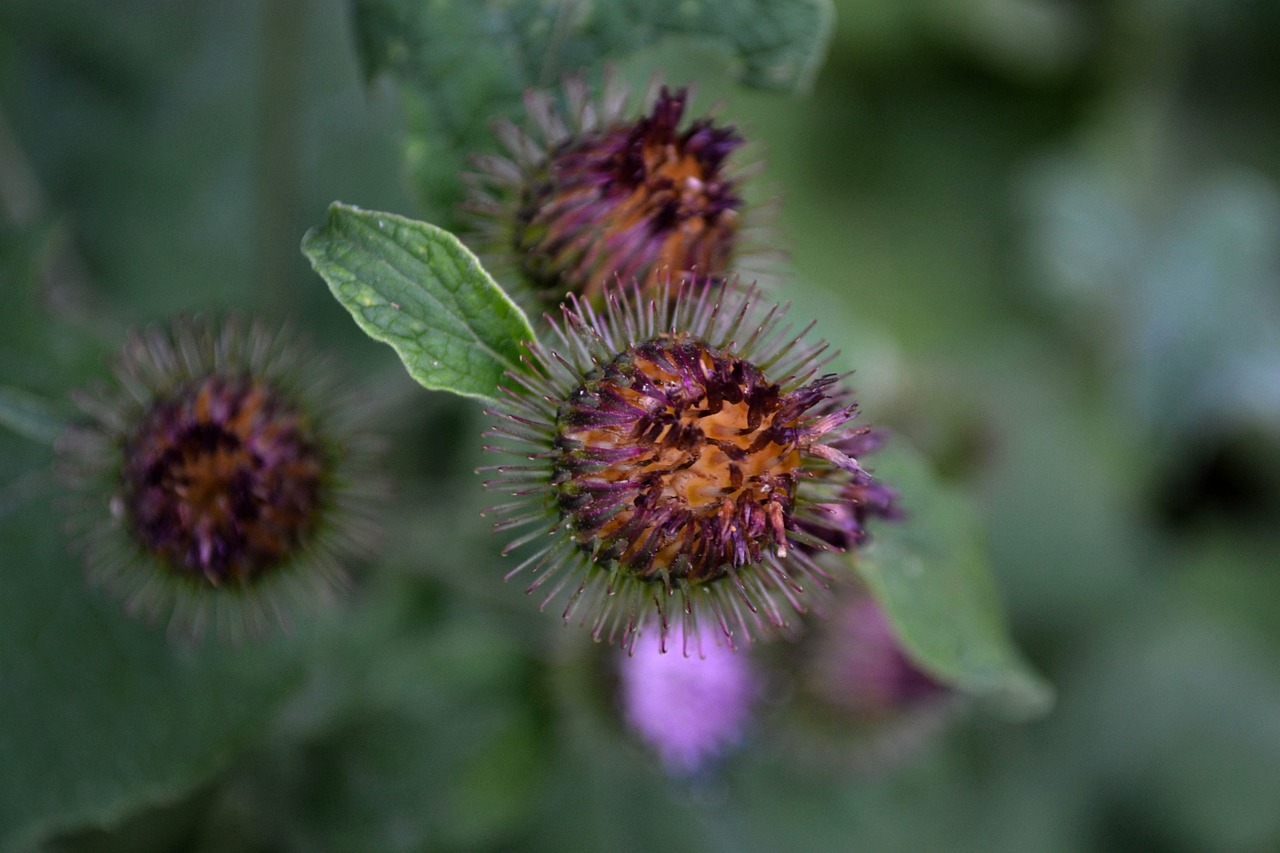 撫寧區(qū)朱各莊最新動(dòng)態(tài)速遞