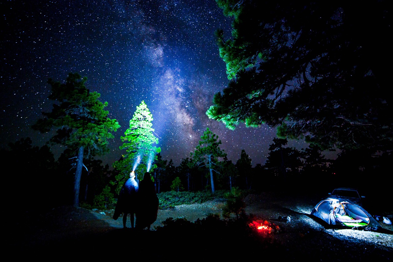 芒果啟明星，熱帶風(fēng)情的璀璨之星