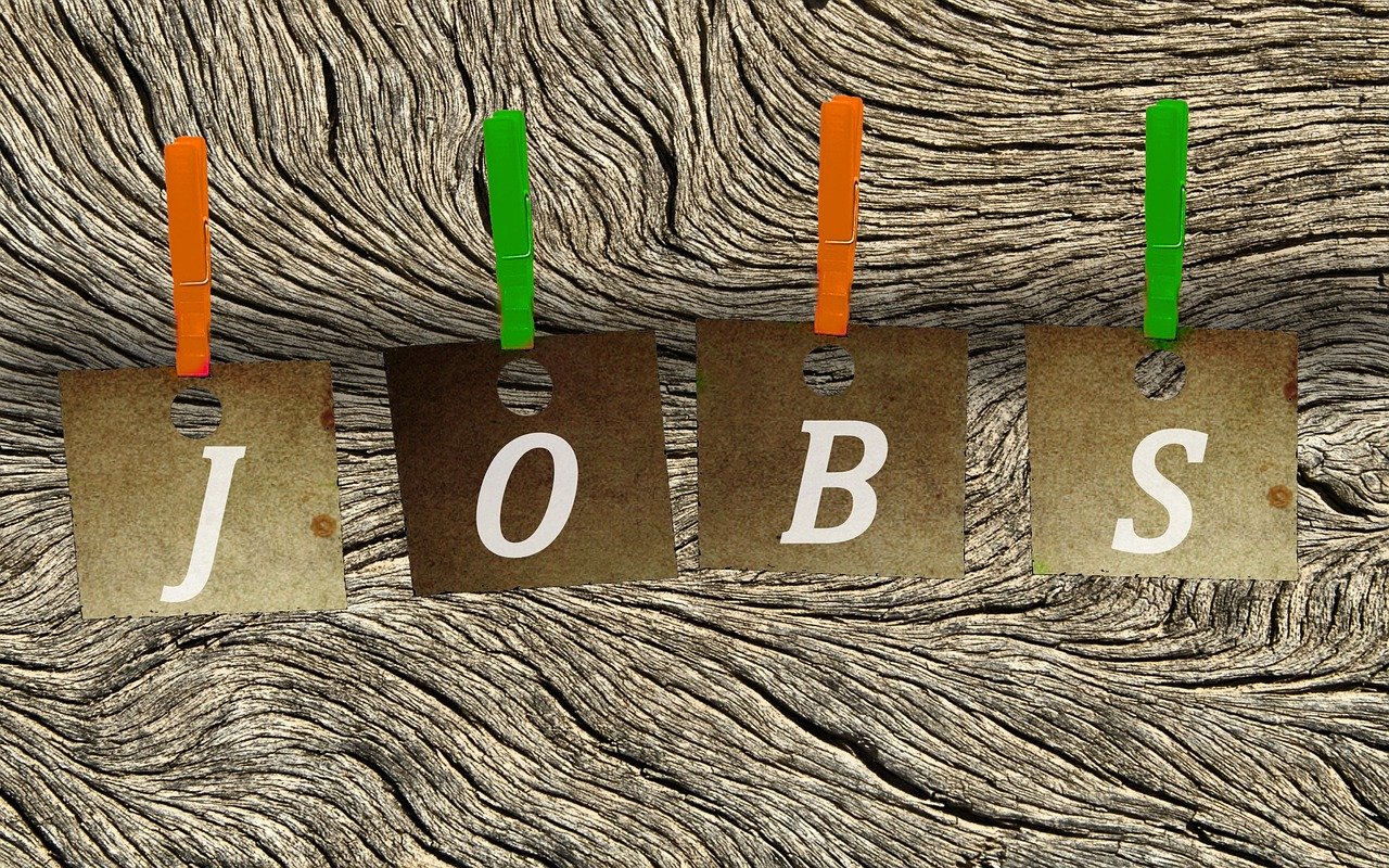 東臺(tái)市最新職位招聘動(dòng)態(tài)與行業(yè)趨勢(shì)深度解析