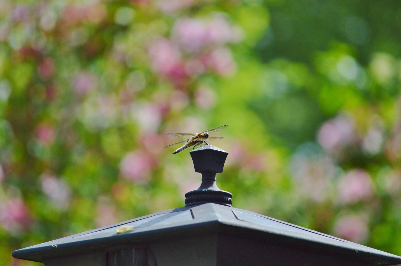 2025年1月 第57頁