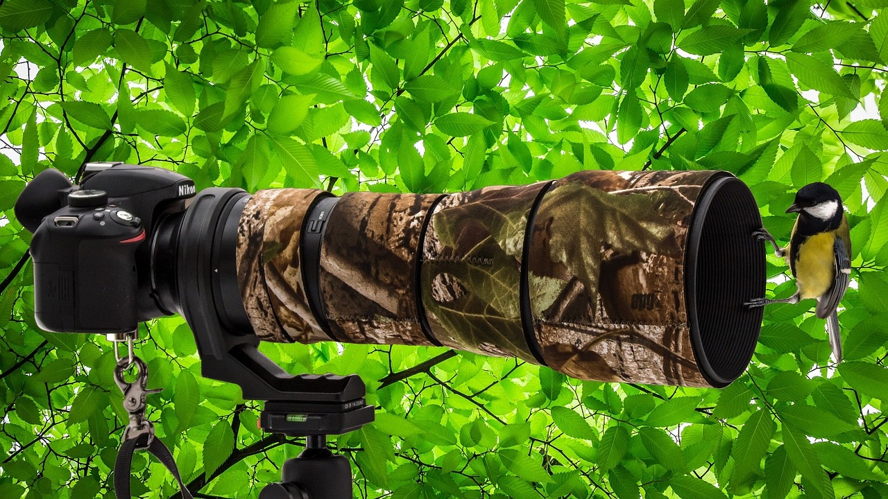 探索最新網(wǎng)絡(luò)熱點(diǎn)與動(dòng)態(tài)圖像的魅力，513熱點(diǎn)動(dòng)態(tài)圖網(wǎng)更新