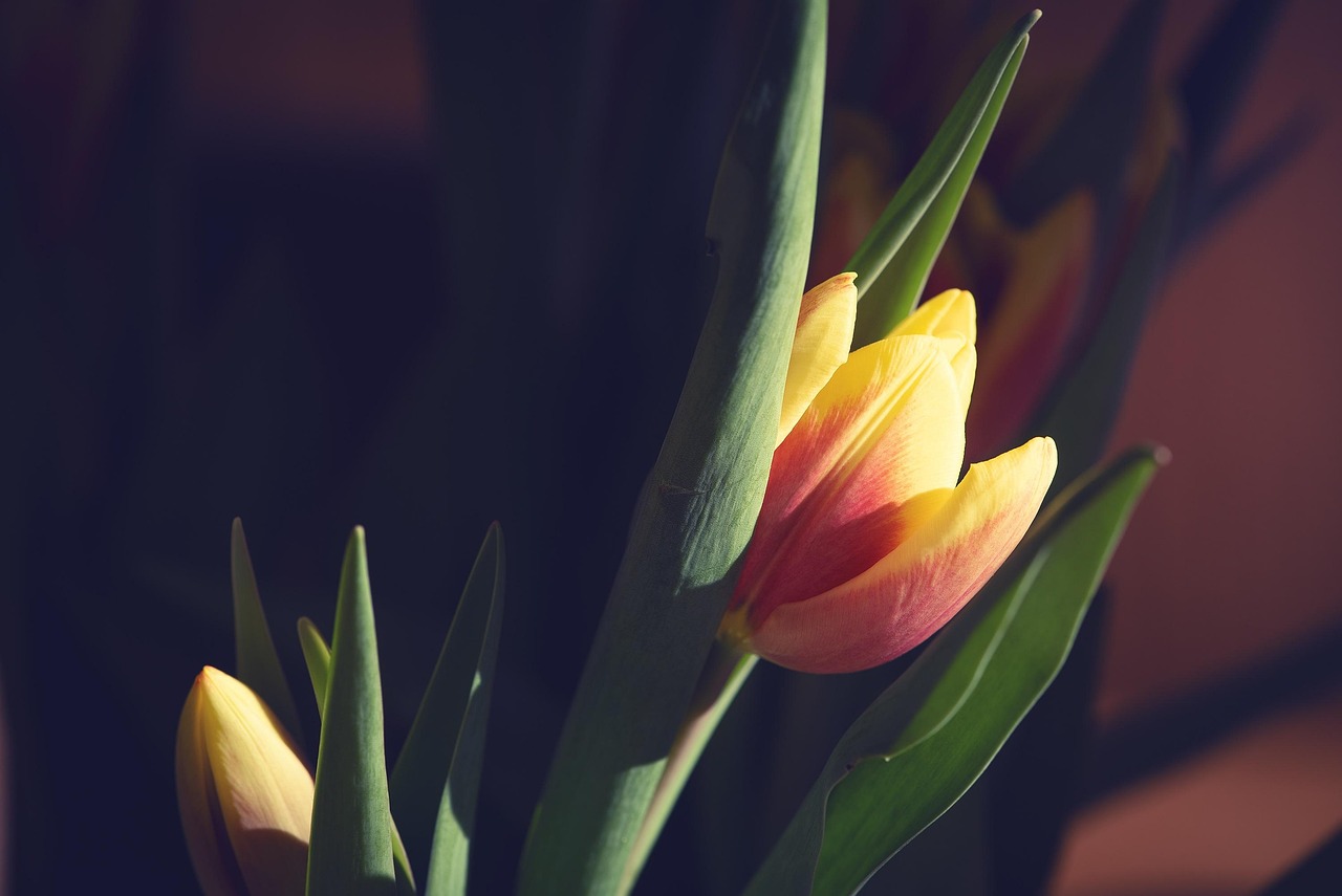 2025年2月 第376頁