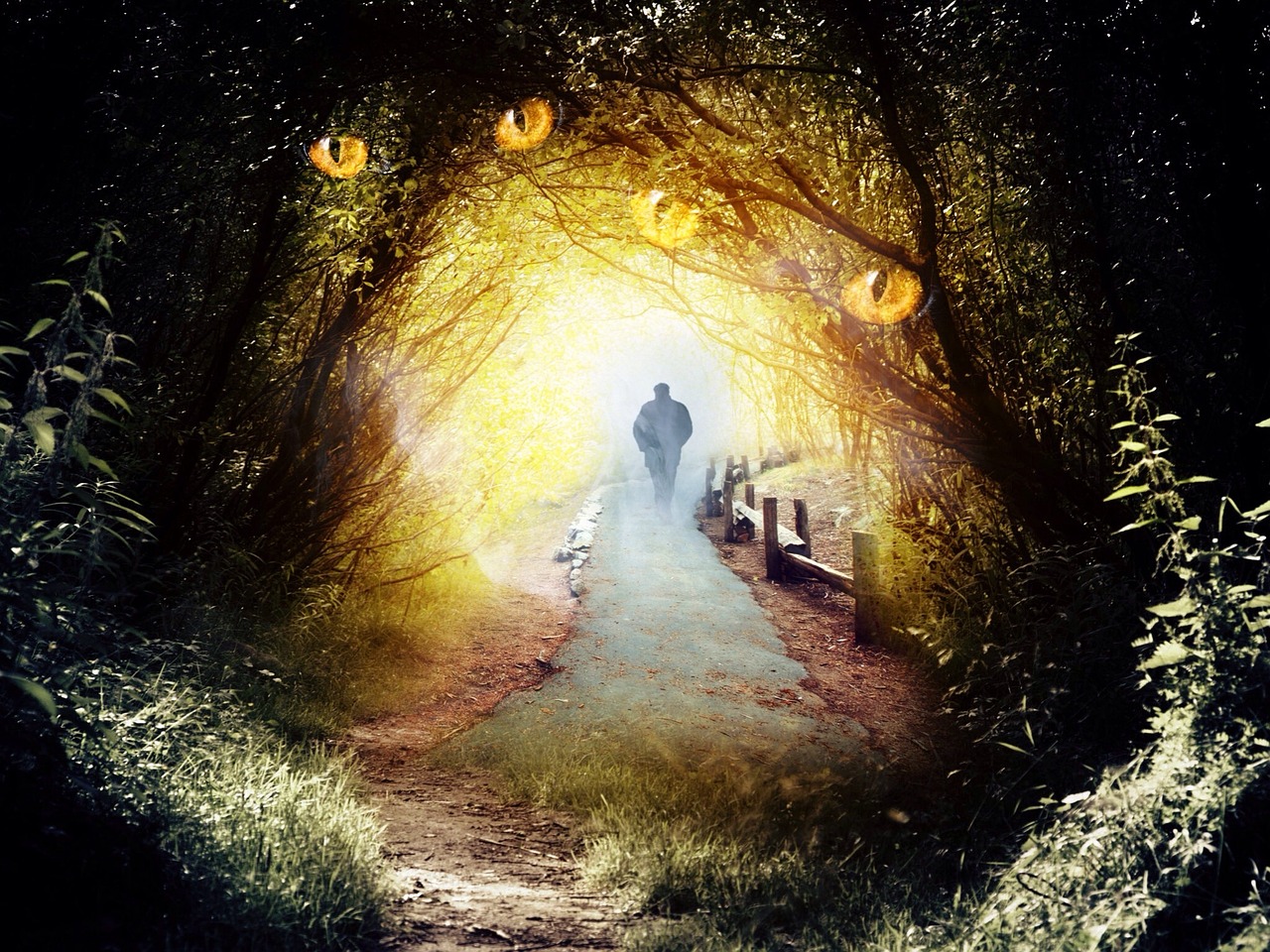 動(dòng)漫圖片暗黑世界，探索神秘與深邃的藝術(shù)之旅