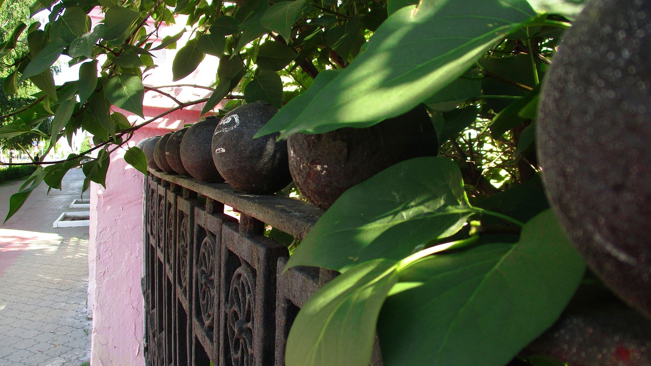 長沙汛情最新動(dòng)態(tài)，城市防洪與民眾共同守護(hù)