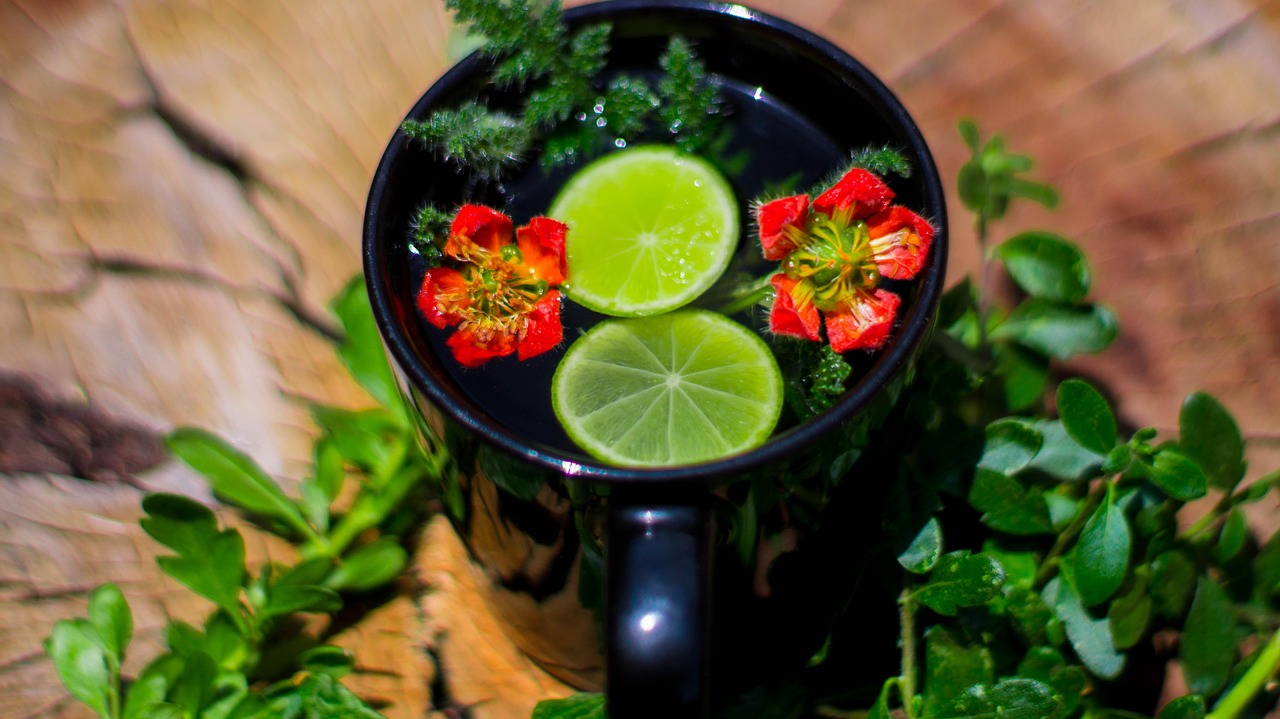 宿遷陸運(yùn)河建設(shè)進(jìn)展、最新動(dòng)態(tài)與未來展望