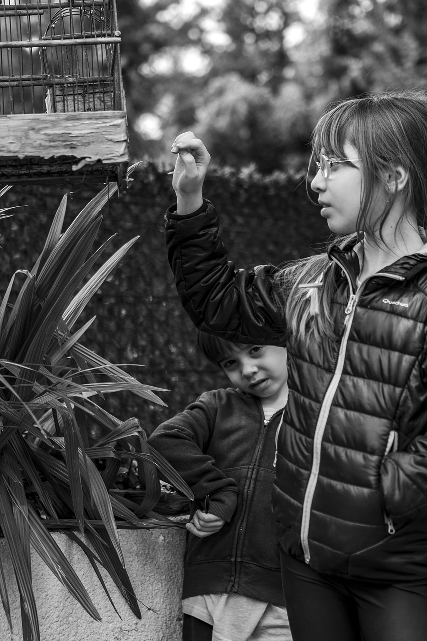 男上女下，電影中的權(quán)力與性別反轉(zhuǎn)探索