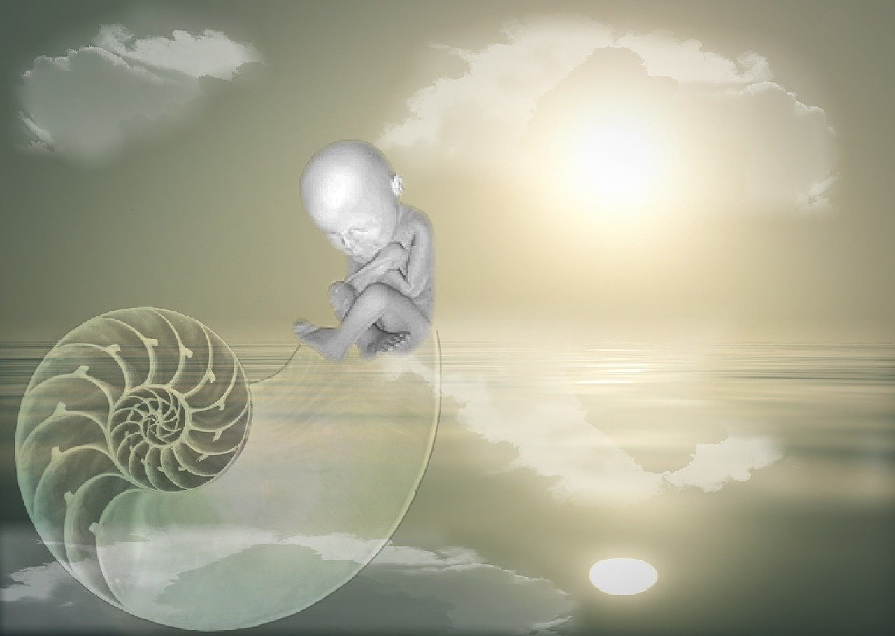 最新兒童電影上映，點亮孩子視界，溫暖心靈之旅