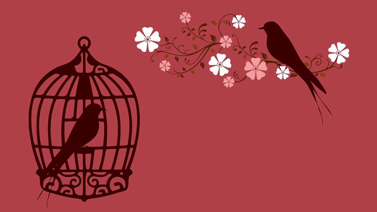 歐美人與動物最新動態(tài)，探索和諧共生的新紀(jì)元