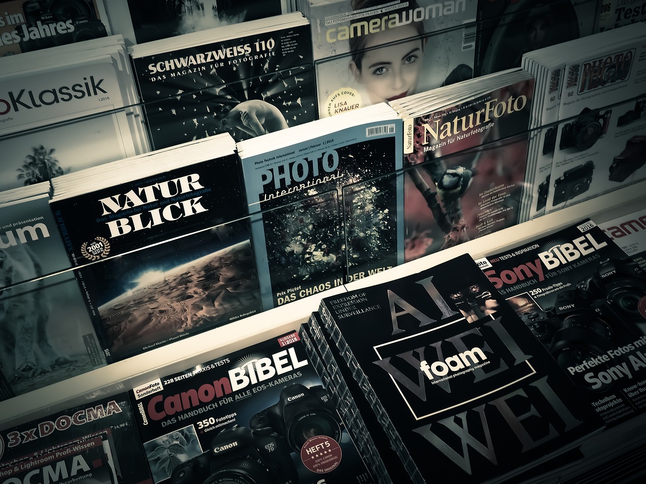 2025年2月 第202頁(yè)