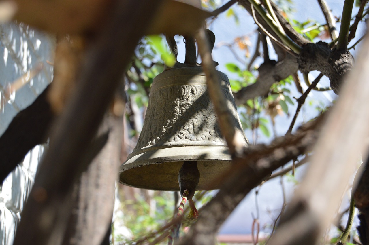 申通股票動(dòng)態(tài)，市場(chǎng)走勢(shì)、前景展望及最新動(dòng)態(tài)分析