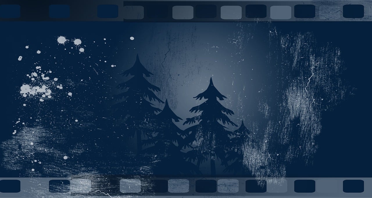 柏林電影節(jié)，電影的藝術(shù)與文化的完美交融