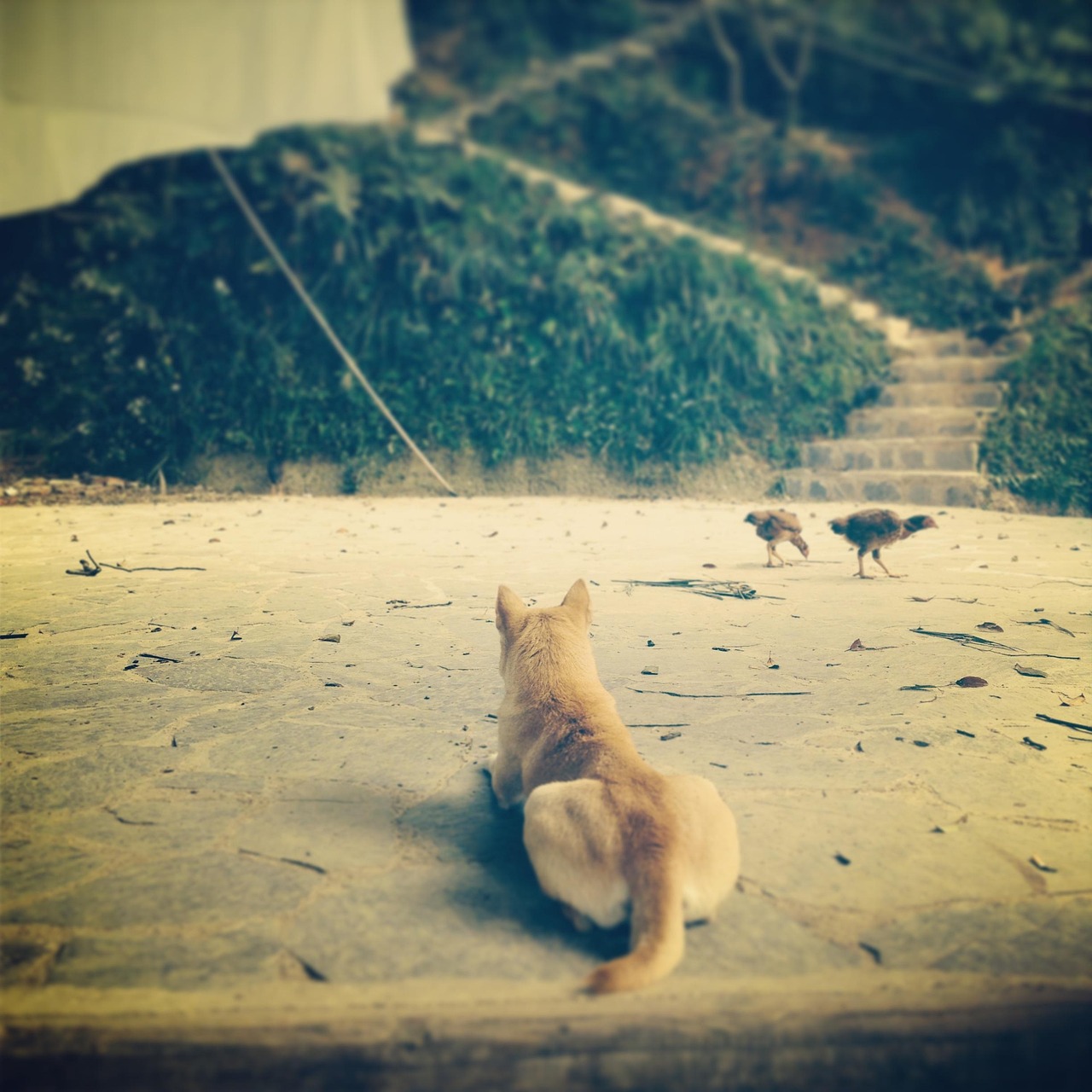 河南事業(yè)單位薪酬改革最新進展及動態(tài)更新