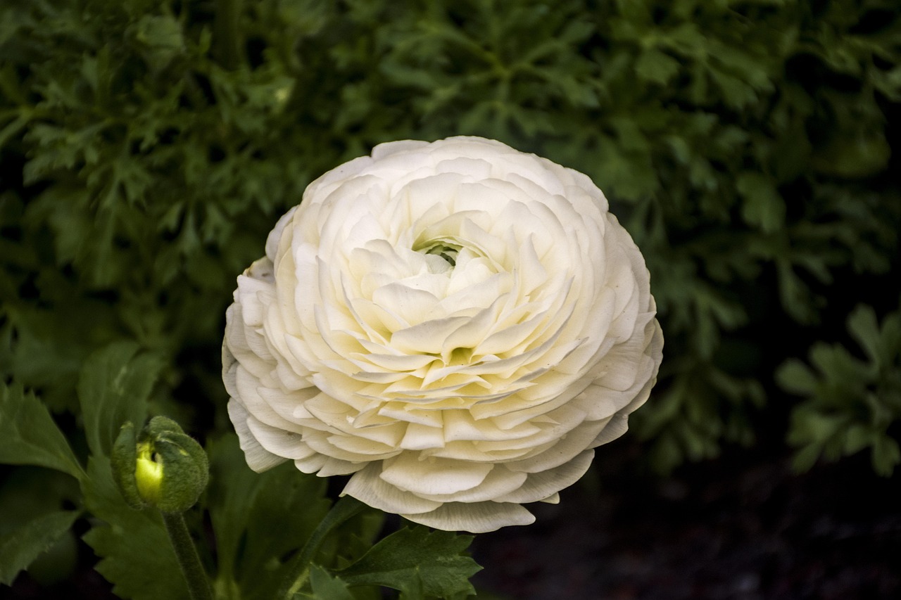 雄飛新園名都最新資訊概覽，動態(tài)更新與一覽無余的資訊信息