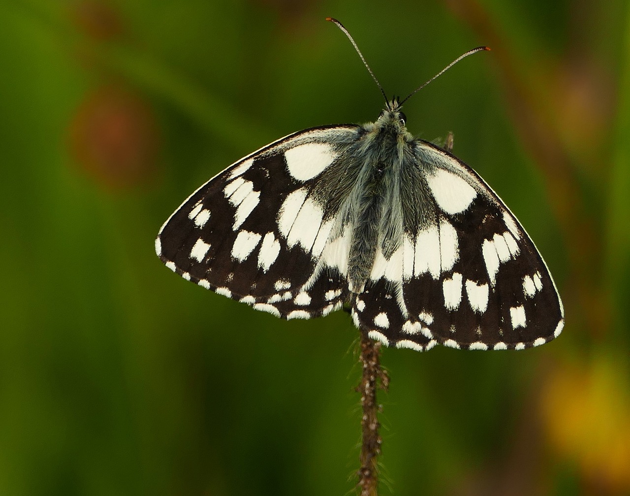 新聞動(dòng)態(tài) 第857頁(yè)