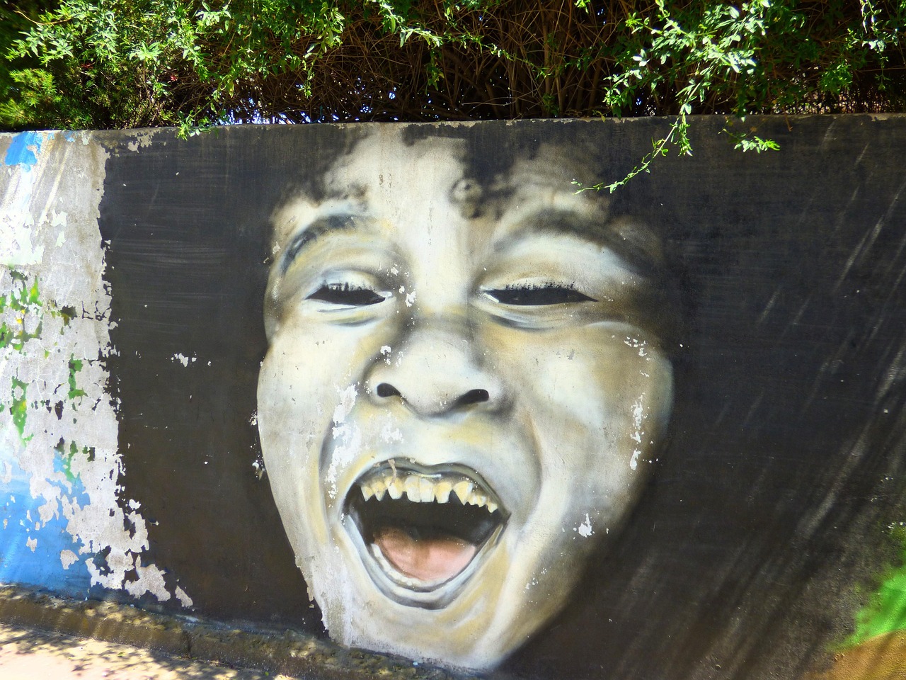 溧陽市最新資訊概覽，時事動態(tài)一網(wǎng)打盡