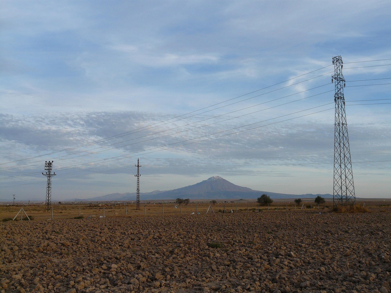 陳重喜的最新動(dòng)態(tài)與成就概覽