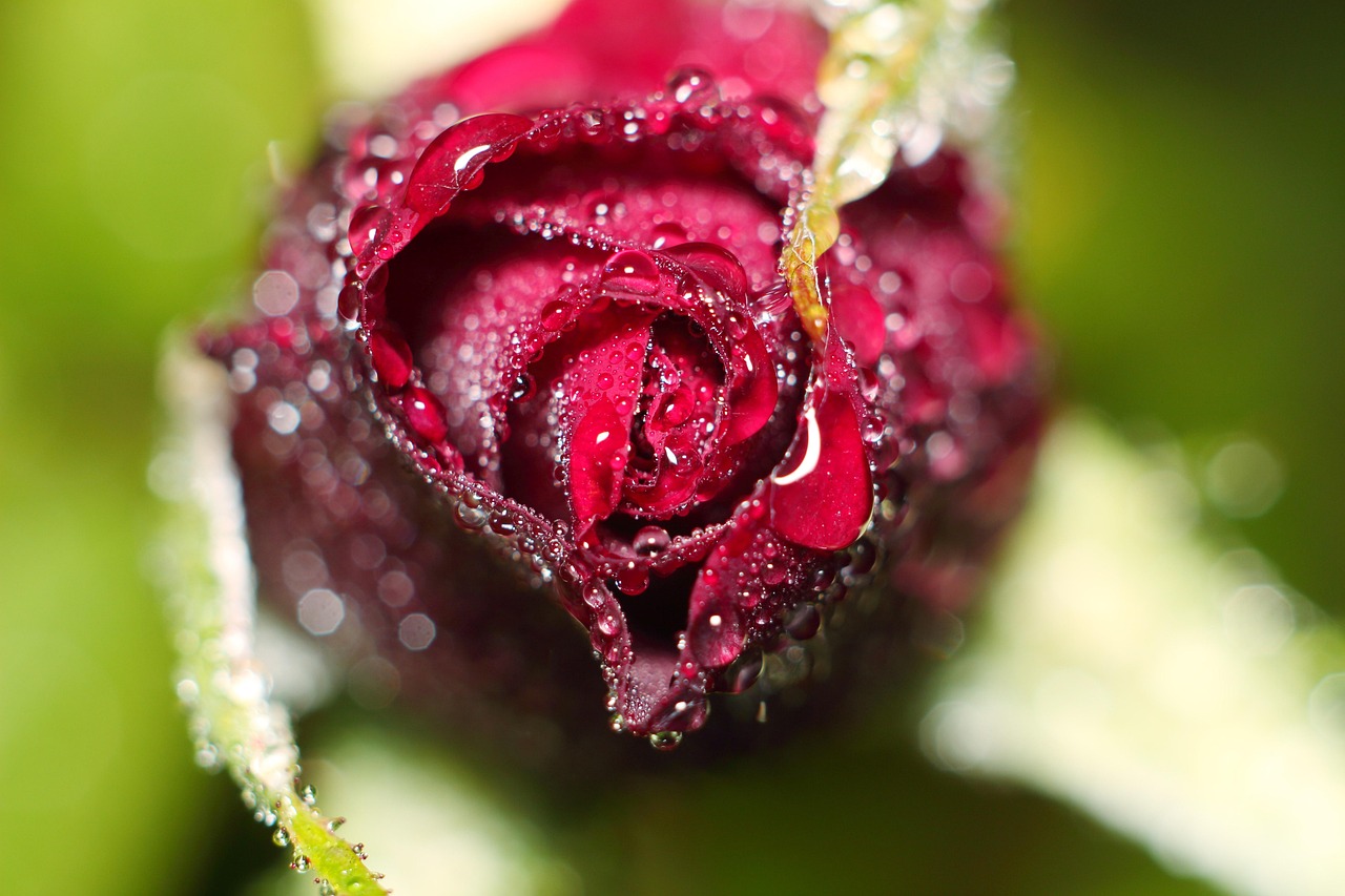 何波生人事任免動(dòng)態(tài)，深度解讀、前瞻與最新消息