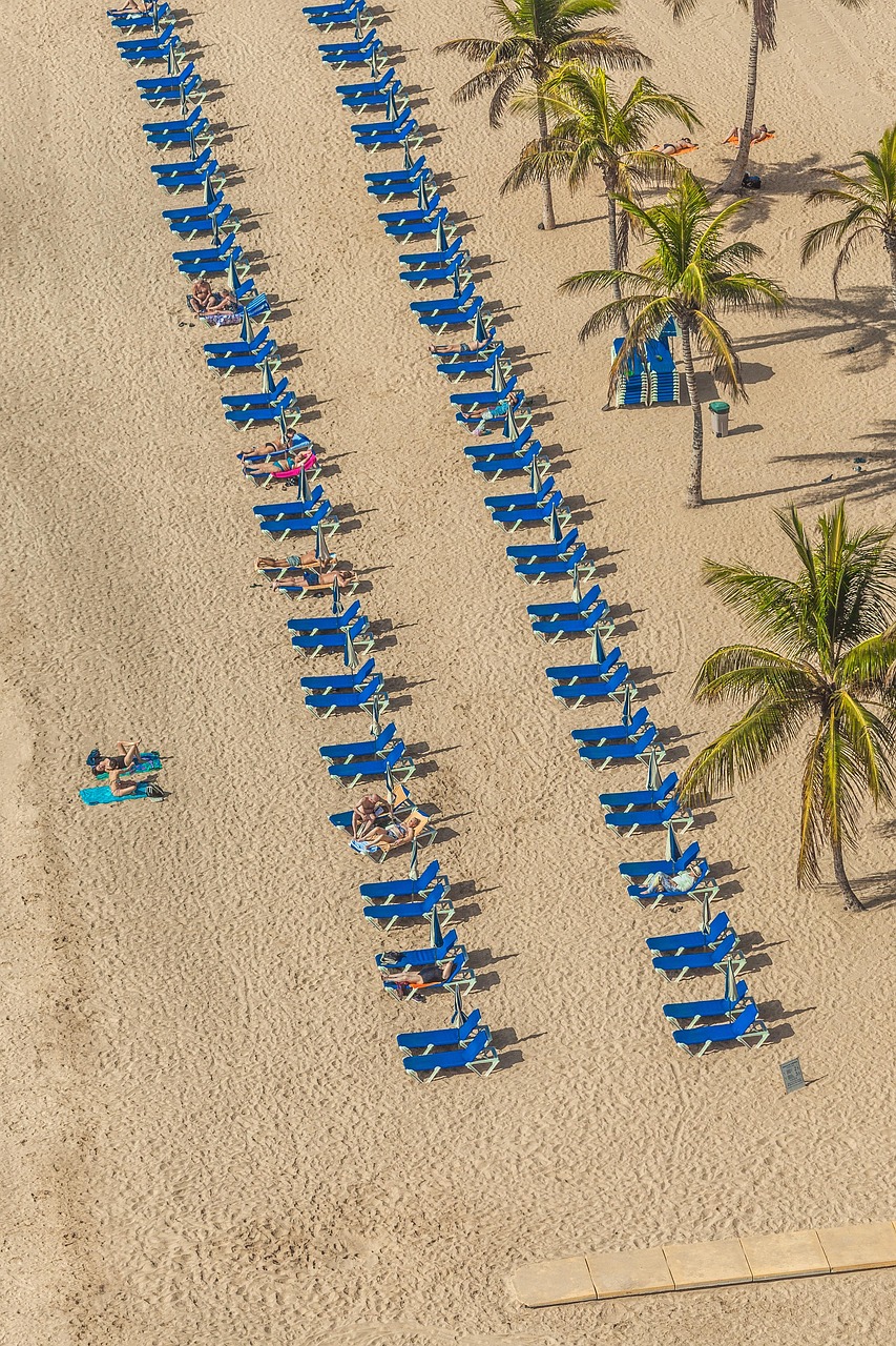 饑餓鯊世界最新破解版下載攻略，體驗分享與下載指南