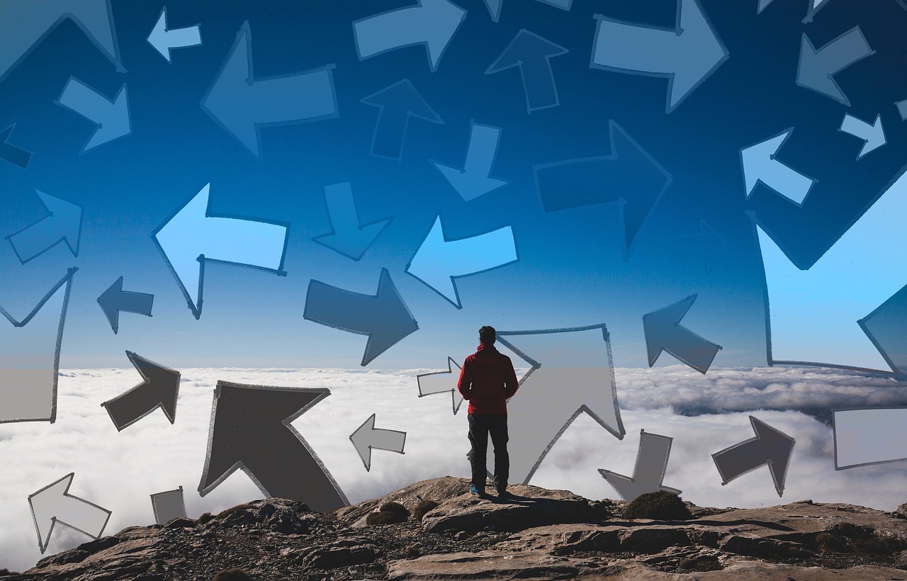 葵花子行情深度分析，市場(chǎng)走勢(shì)與前景展望