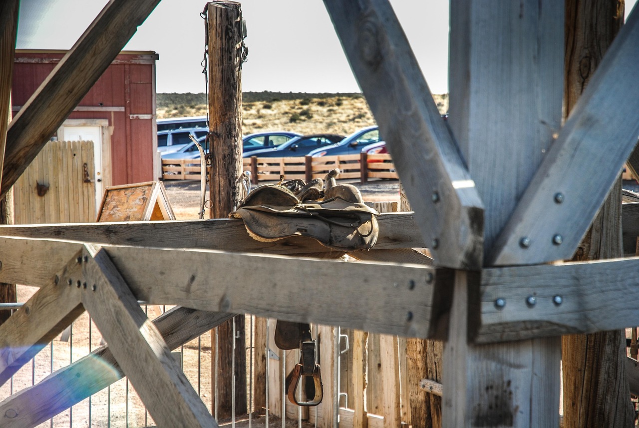 徐連高鐵招標(biāo)信息詳解及最新動(dòng)態(tài)分析