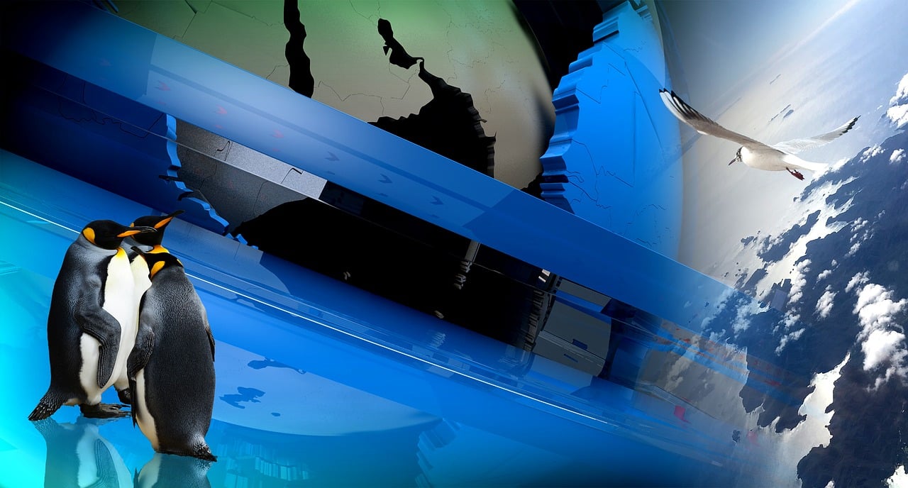 韓國最新通報，全球新動態(tài)與啟示的引領(lǐng)者