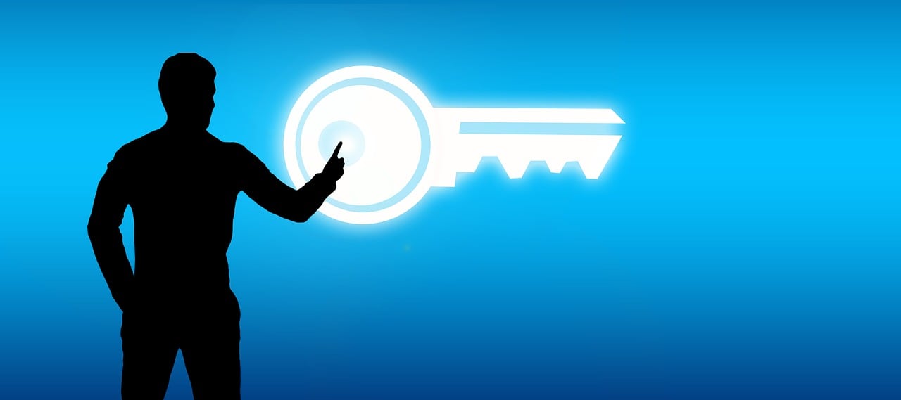 上市企業(yè)概覽，種類、特點(diǎn)、影響及概述大全