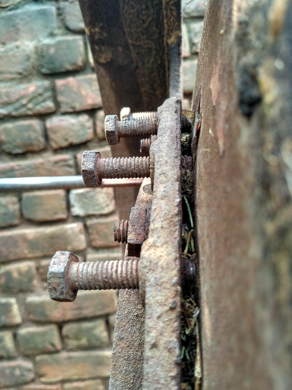 2025年4月 第446頁