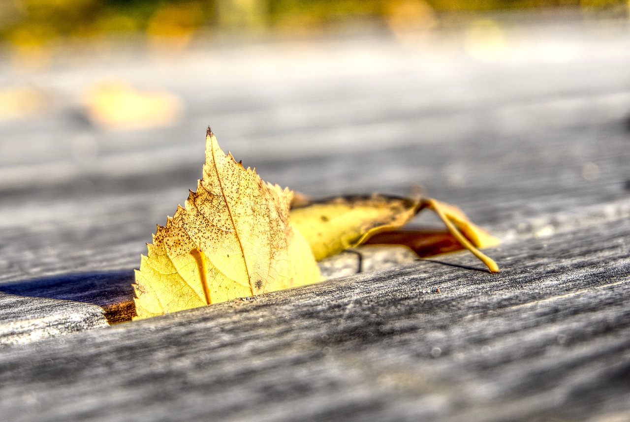 高斯貝爾股票最新動(dòng)態(tài)與分析摘要