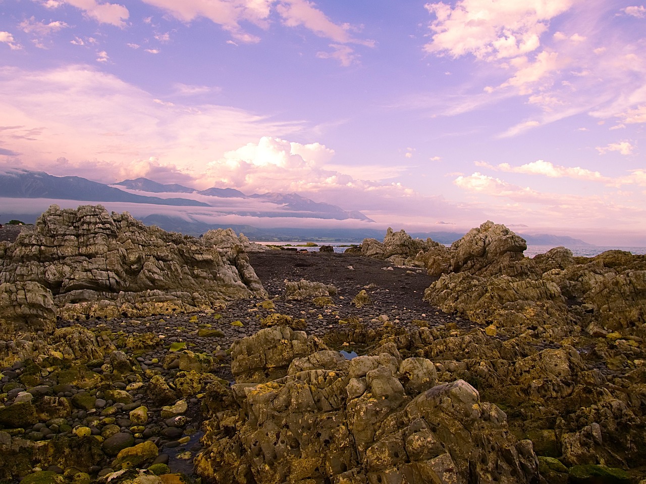 天津海航城蓬勃發(fā)展，海洋經(jīng)濟(jì)新引擎動(dòng)態(tài)更新