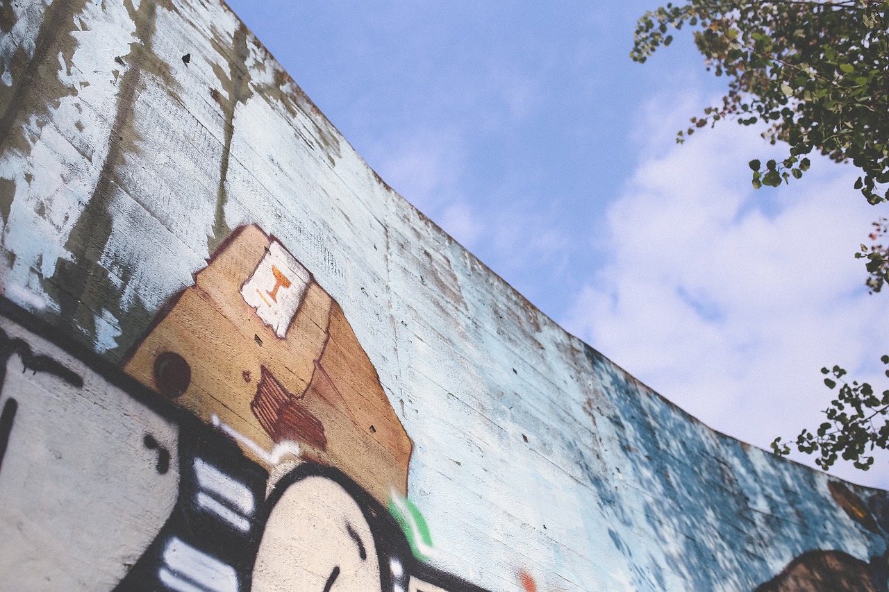 雞鴨行情市場走勢深度解析，影響因素分析與預(yù)測報告