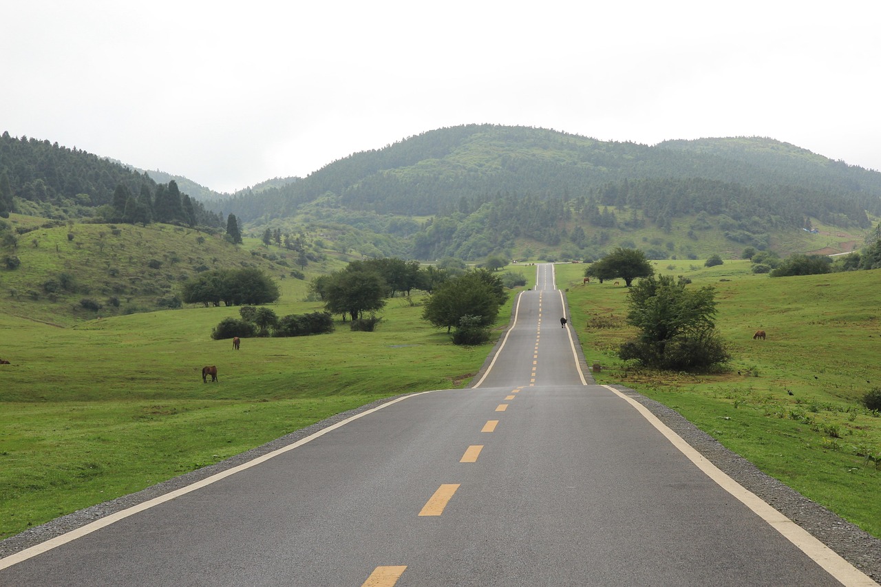 圣牧上市，草原牧業(yè)騰飛引資本市場(chǎng)矚目