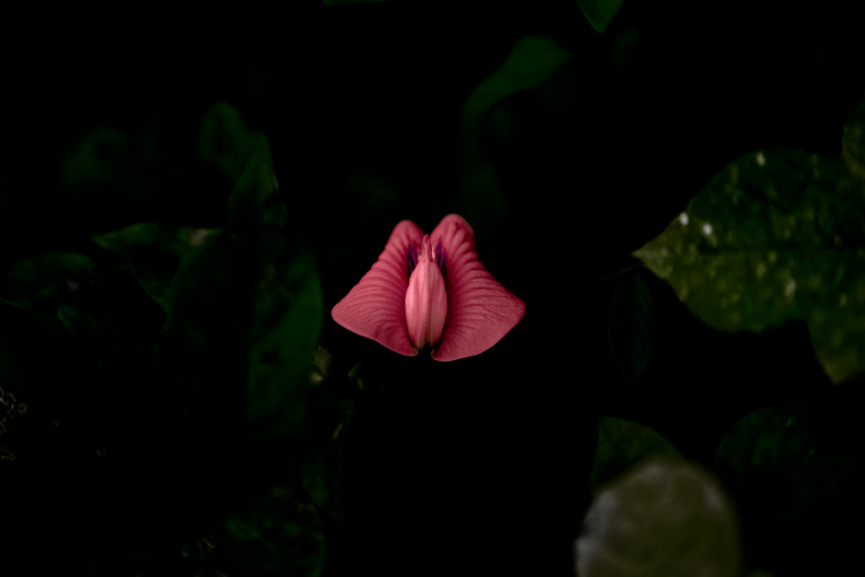 動(dòng)漫帥氣頭像，探索個(gè)性魅力與獨(dú)特表達(dá)的藝術(shù)