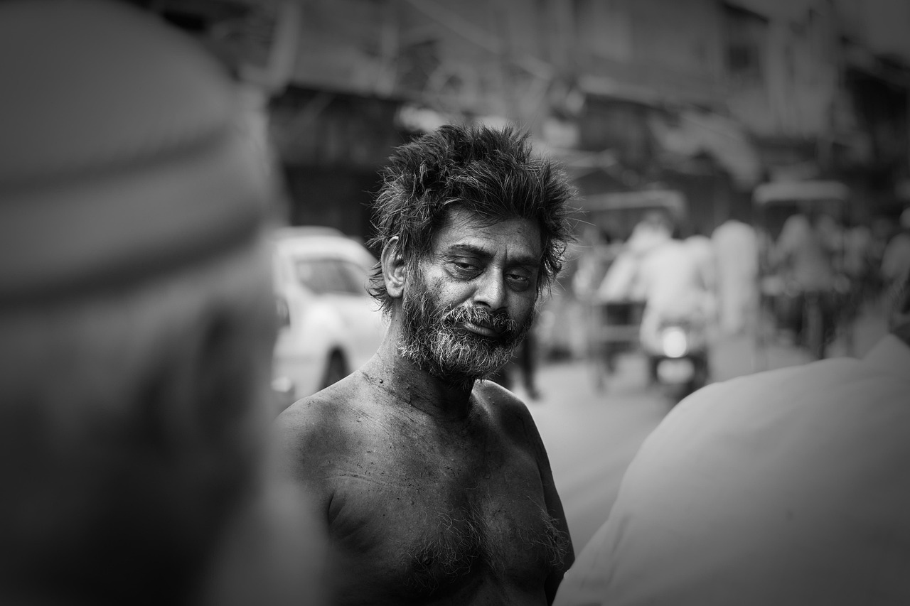 板芙純水岸最新動態(tài)，引領城市生活新潮流前沿