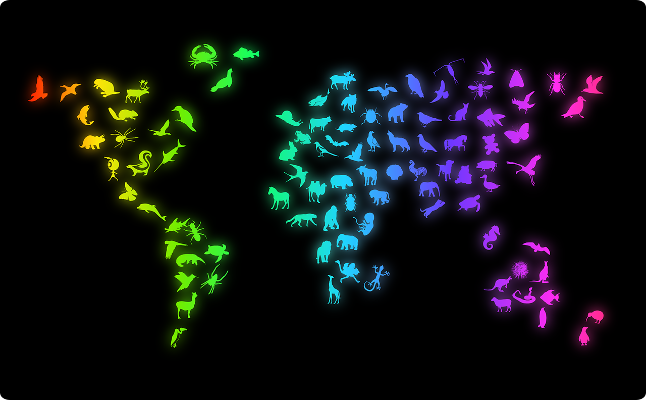 全國小演員，未來之星的光芒閃耀舞臺