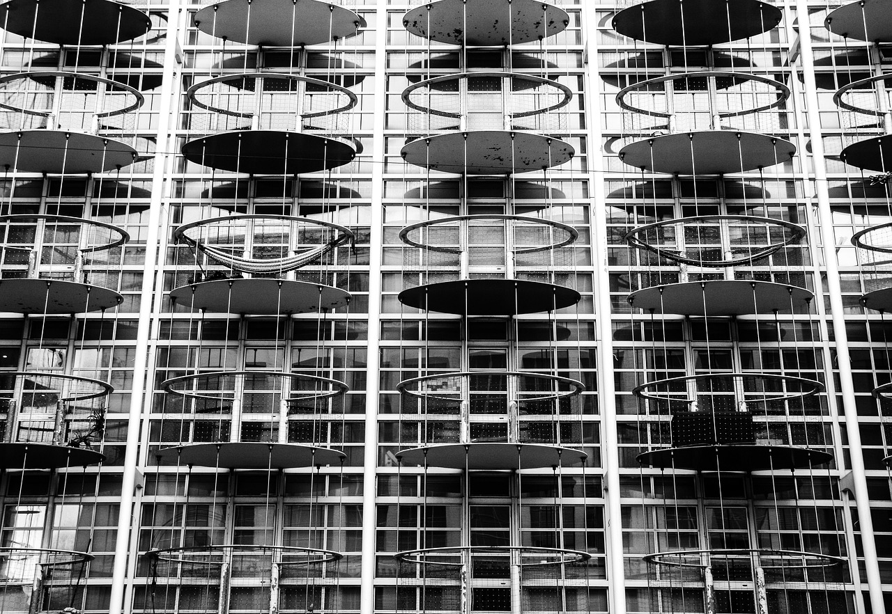 菜粕價(jià)格走勢(shì)分析，市場(chǎng)趨勢(shì)、影響因素及未來展望